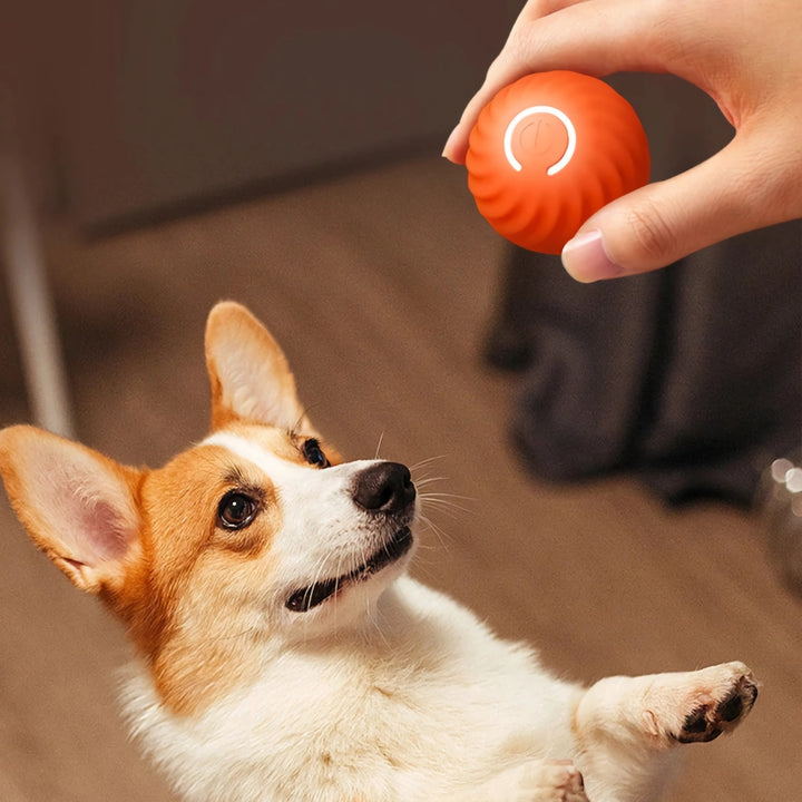 Interactive Smart Dog Toy Ball