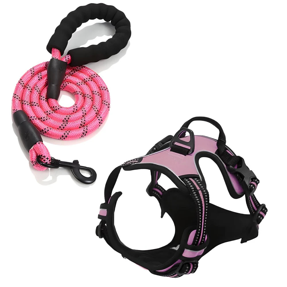 Reflective Adjustable Dog Harness and Leash Set