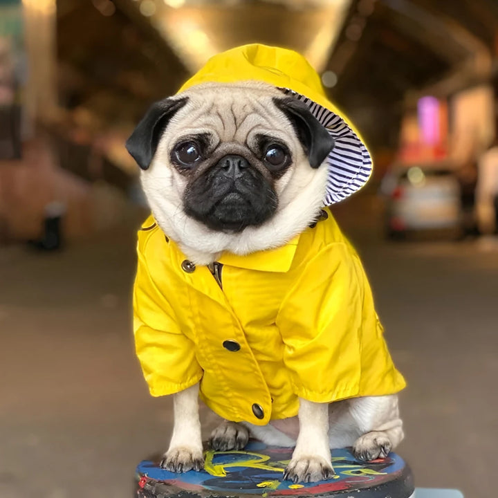 Waterproof Raincoat for Medium and Large Dogs