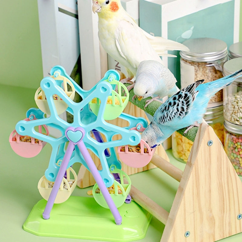 Colorful Parrot Foraging Toy