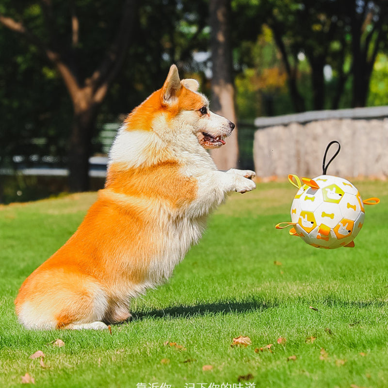 Interactive Dog Football Toy with Grab Tabs