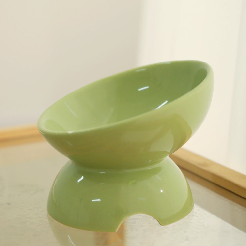 Tilted Elevated Ceramic Cat Bowl