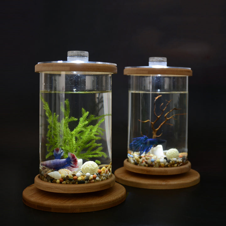 Rotatable Mini Fish Tank