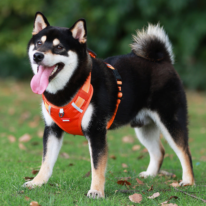 Adjustable Reflective Dog Harness