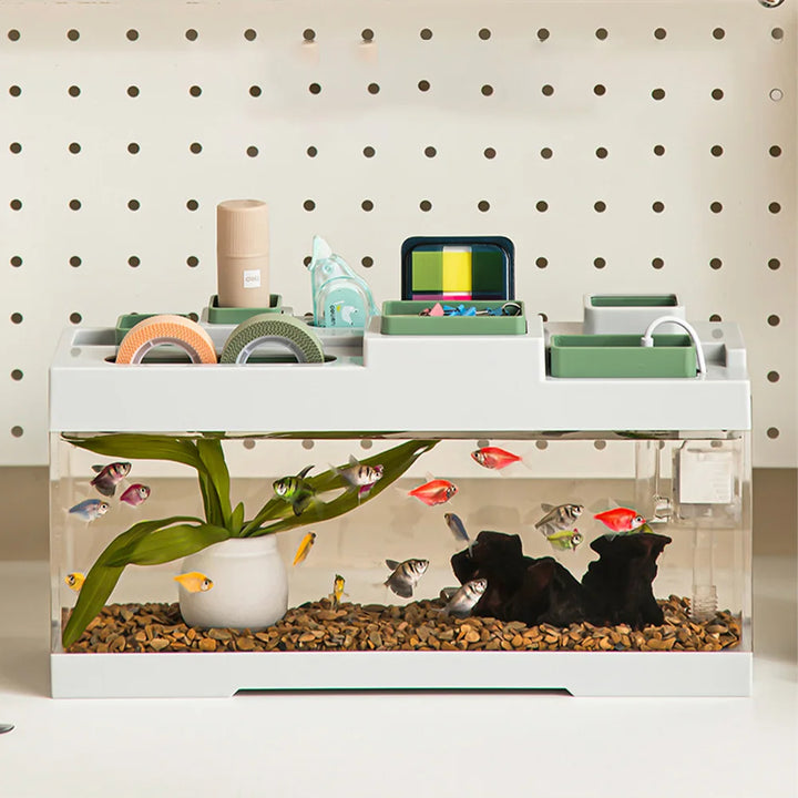 Acrylic Desktop Aquarium with Storage & LED Light