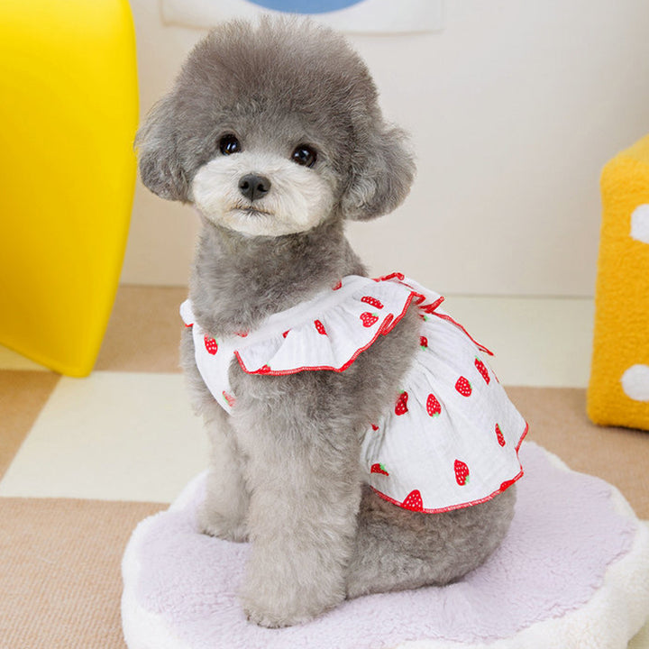 Cute Summer Dog Dress