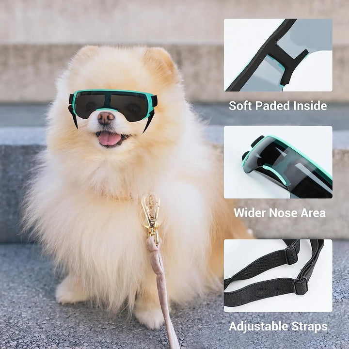 Small Dog Sunglasses