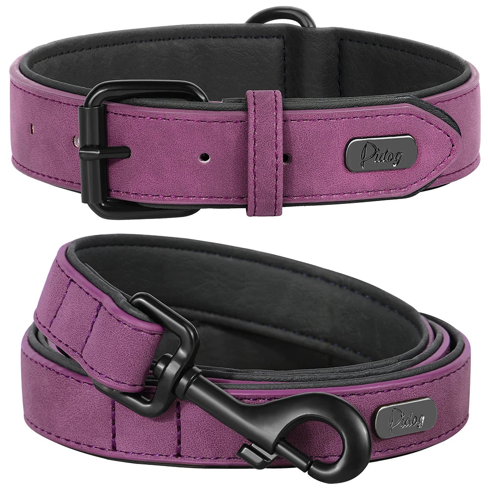 Durable Padded Dog Collar and Leash Set for Large Breeds