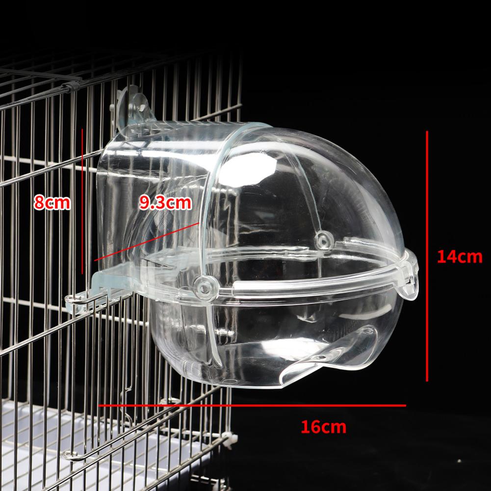 Transparent Parrot Bath Tub