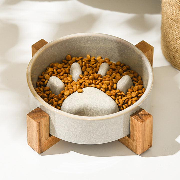 Slow Feed Ceramic Pet Bowl