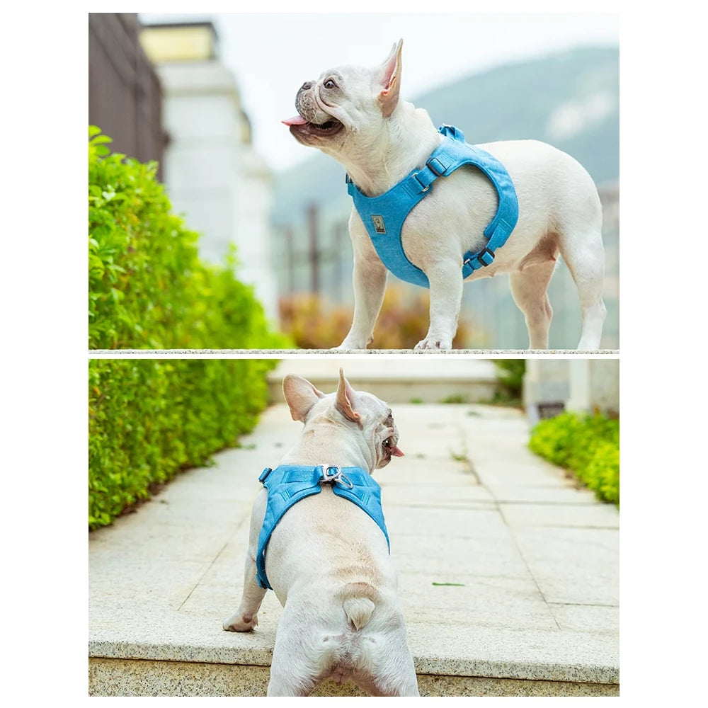 Eco-Friendly Adjustable No-Pull Pet Harness