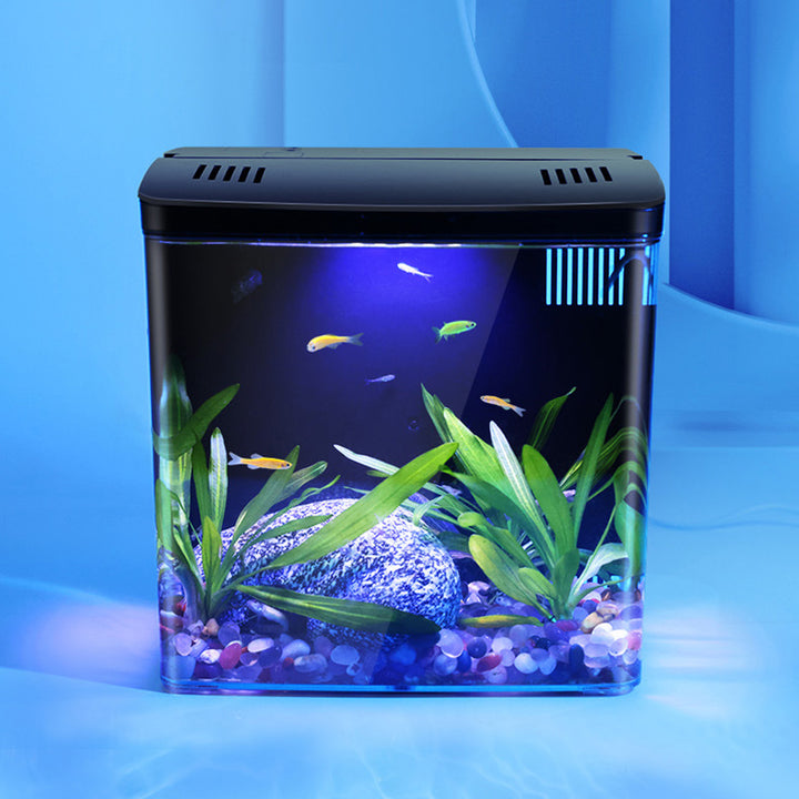 Compact LED Fish Tank with Self-Circulating Back Filter