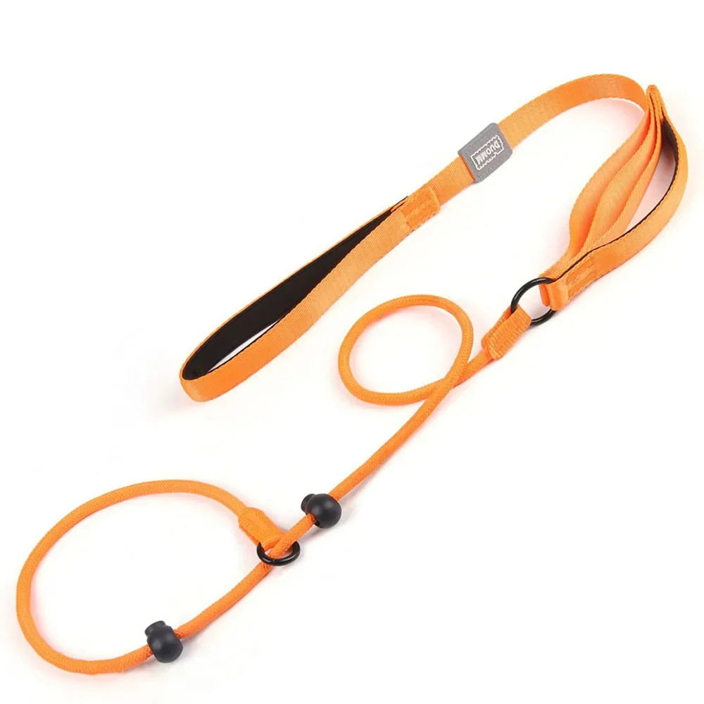 Adjustable Slip Lead Dog Leash