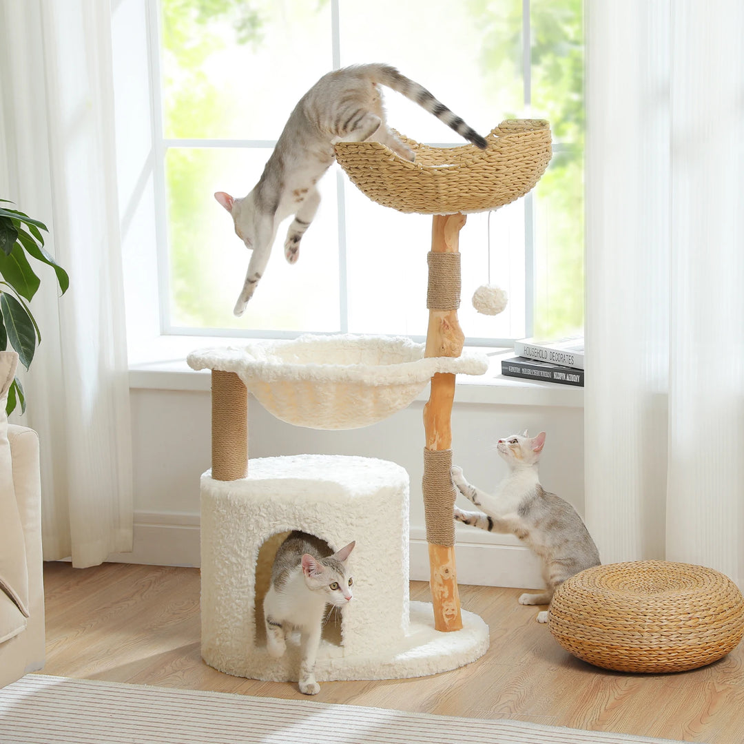 Modern Cat Tree with Woven Basket, Hammock & Solid Wood Scratching Post for Large Indoor Cats