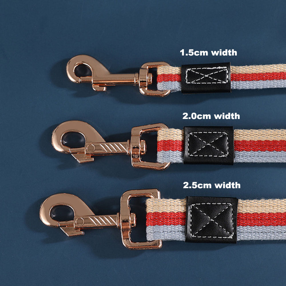 Strong Durable Nylon Dog Leash