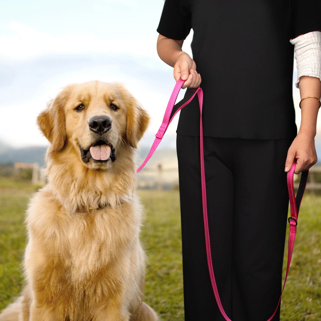 5ft Double Handle Nylon Dog Leash