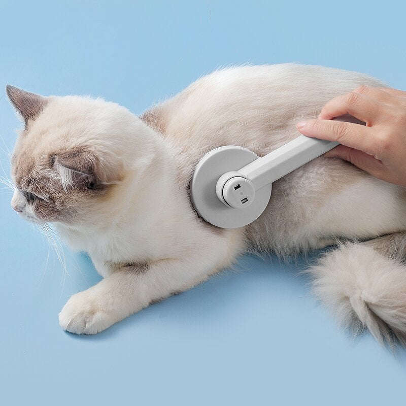 Pet Hair Removal & Grooming Brush