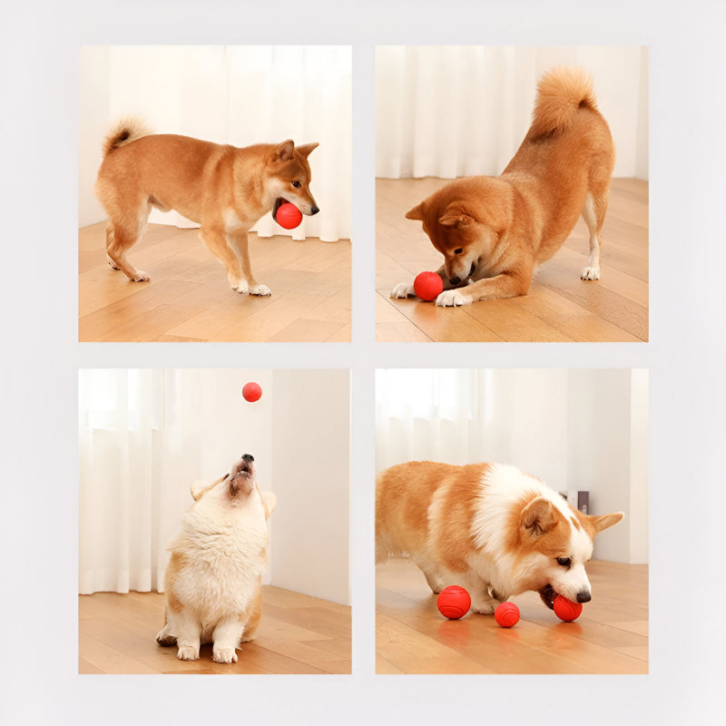 Bouncy Rubber Dog Training Ball