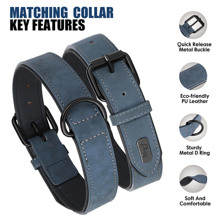 Durable Padded Dog Collar and Leash Set for Large Breeds