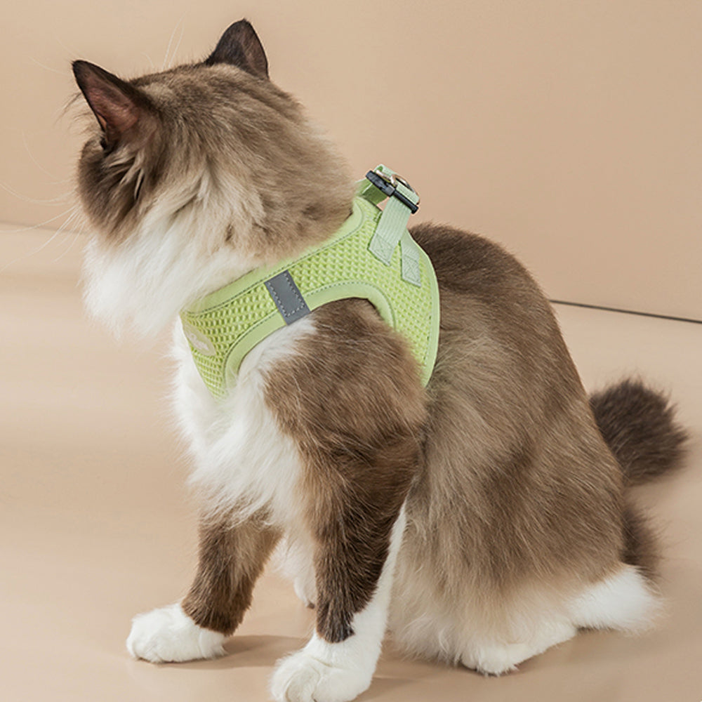 Reflective Mesh Cat & Small Dog Harness Leash Set