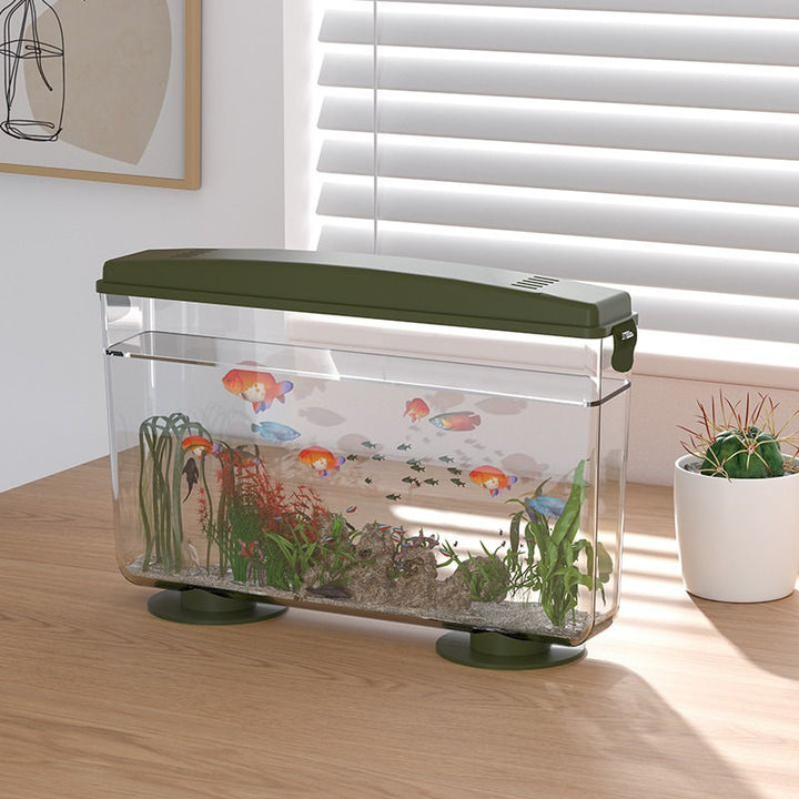 Simple Ecological Desktop Fish Tank