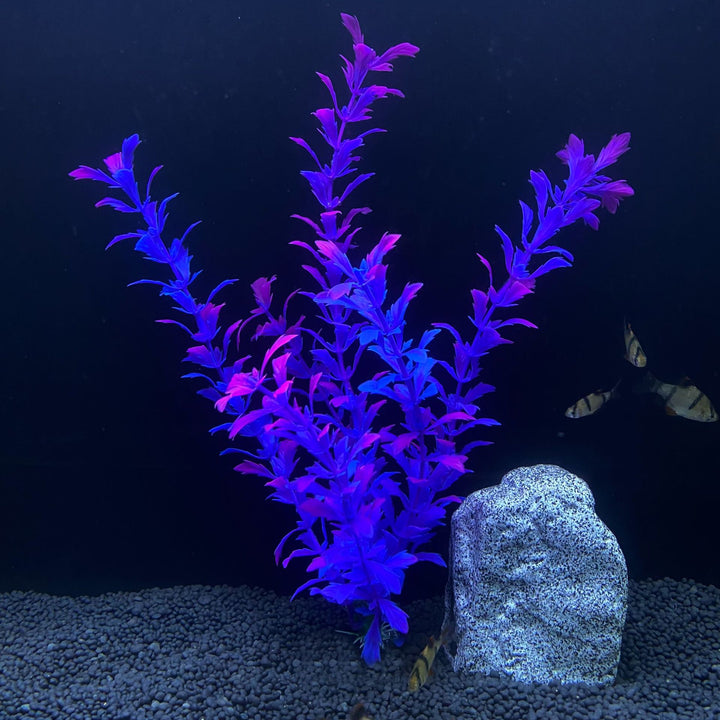 30cm High Artificial Aquarium Plant