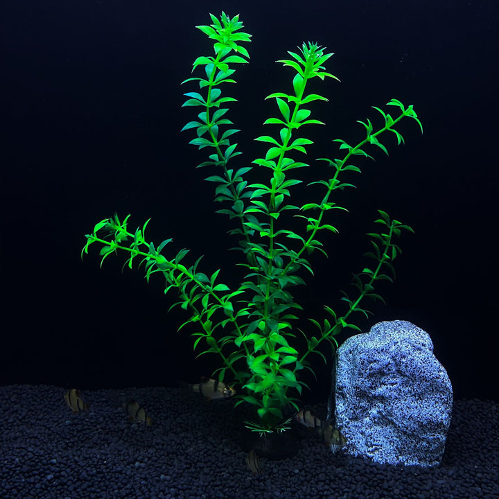 30cm High Artificial Aquarium Plant