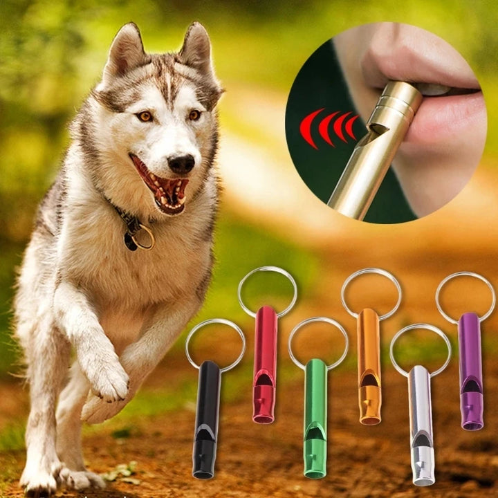 Outdoor Dog Training Whistle