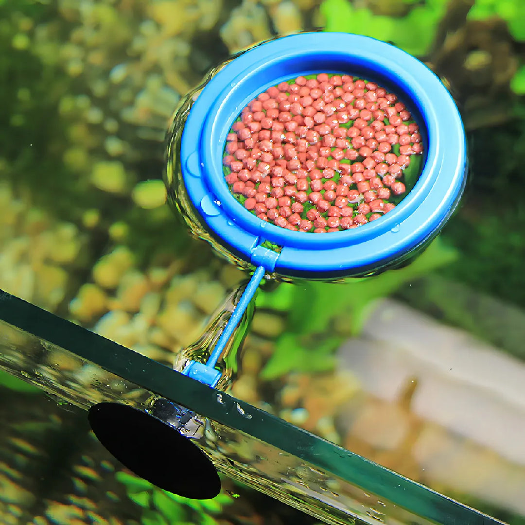 Premium Aquarium Feeding Ring