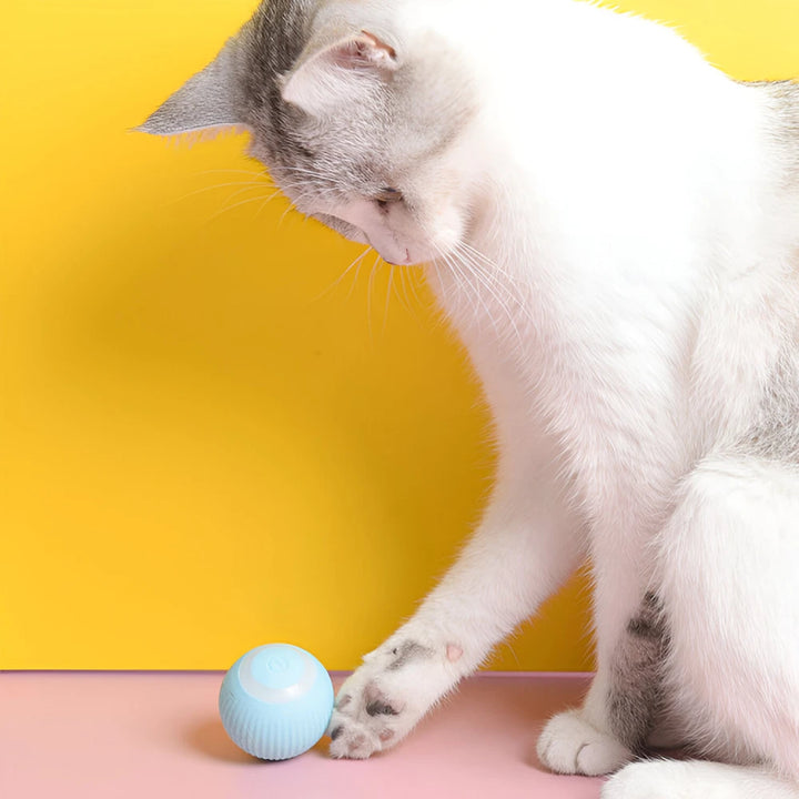 Interactive Automatic Rolling Ball Toy