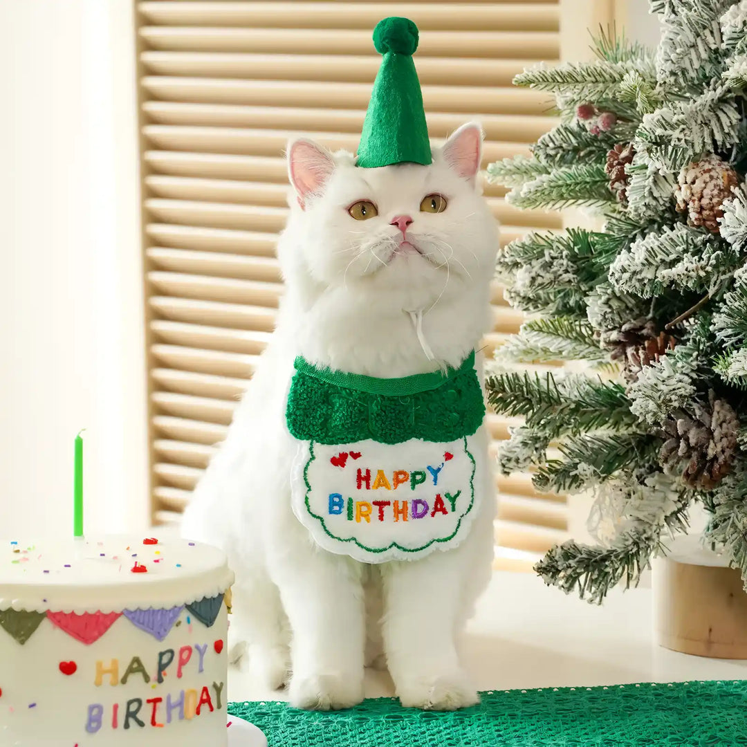 Charming Pet Birthday Bandana and Hat Set