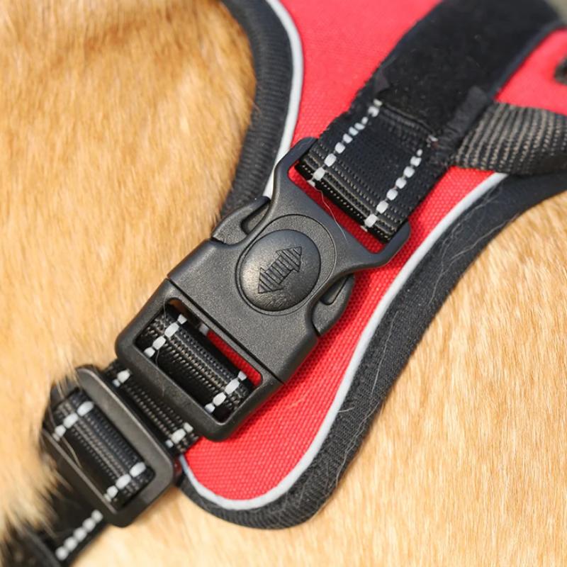 Reflective Dog Harness and Leash Set for Medium to Large Dogs – Perfect for Walking Golden Retrievers and Labradors