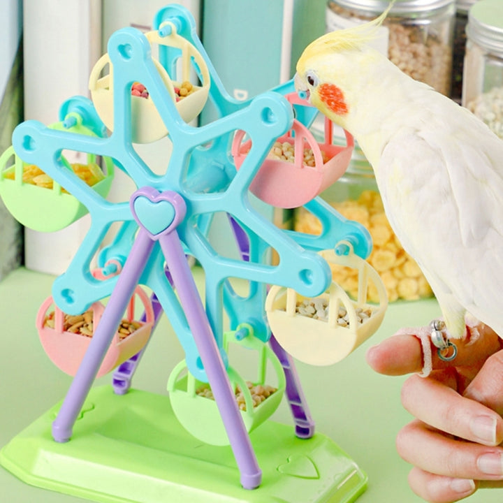 Colorful Parrot Foraging Toy