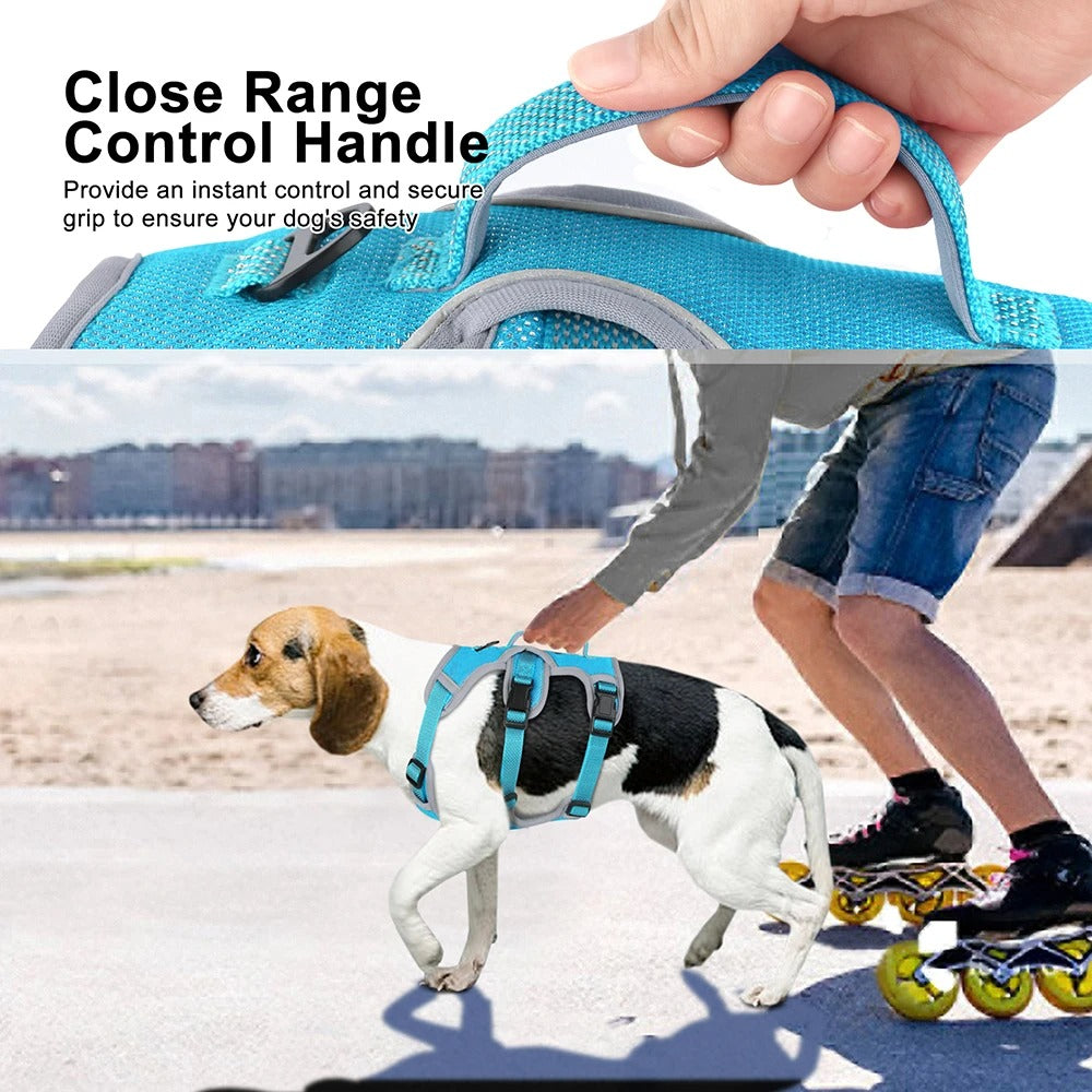 Adjustable Reflective Nylon Dog Harness for Training