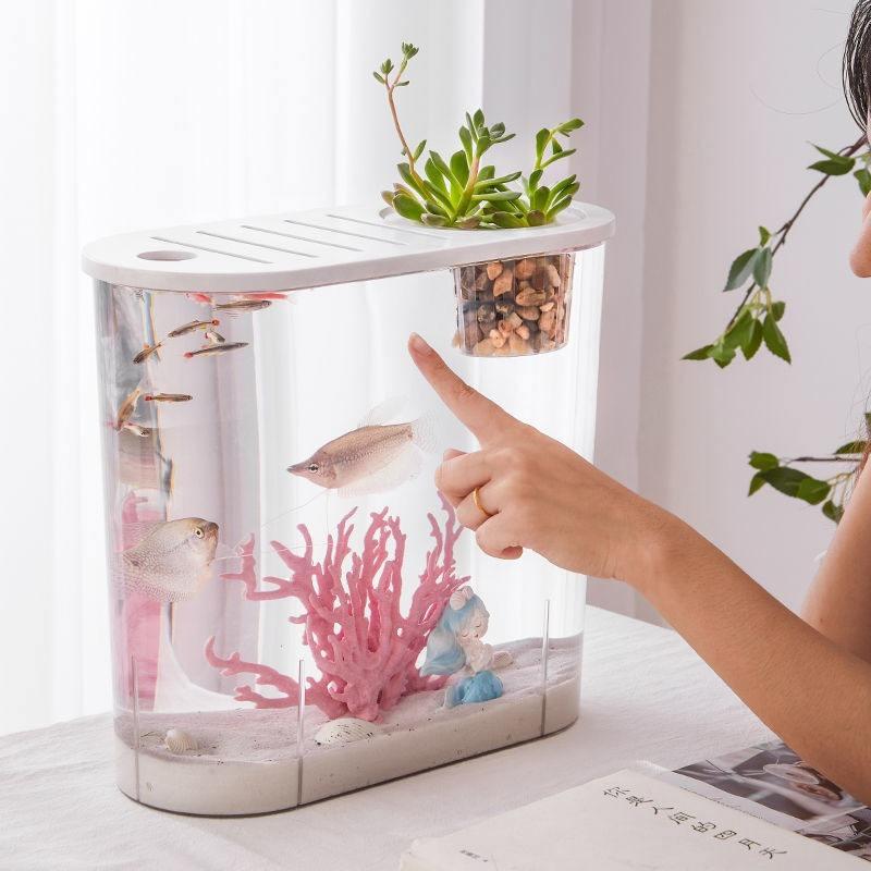 Transparent Plastic Goldfish Tank