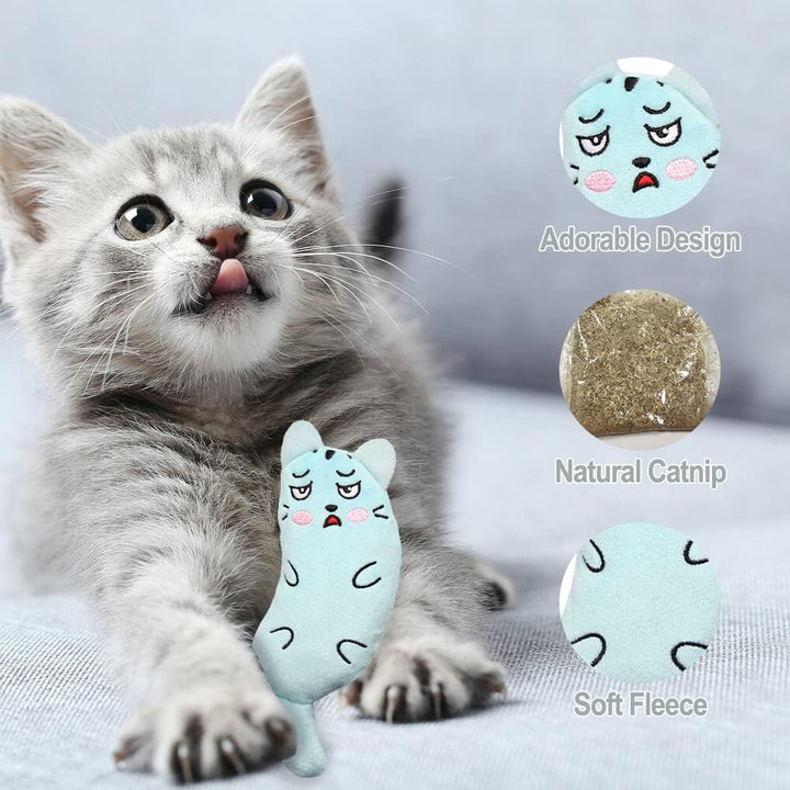 Interactive Catnip Chewing Mouse Toy