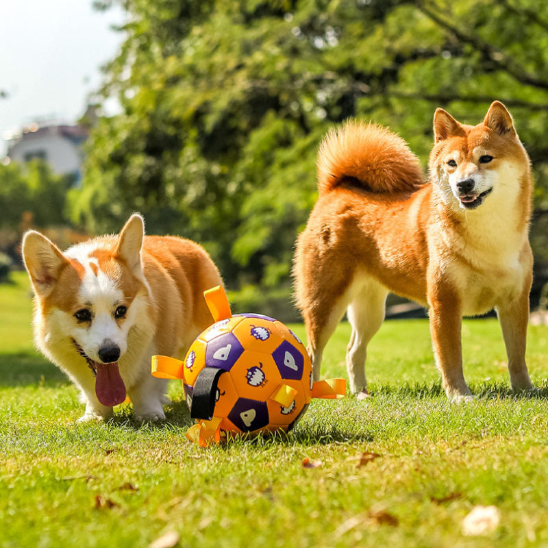 Interactive Dog Football Toy with Grab Tabs