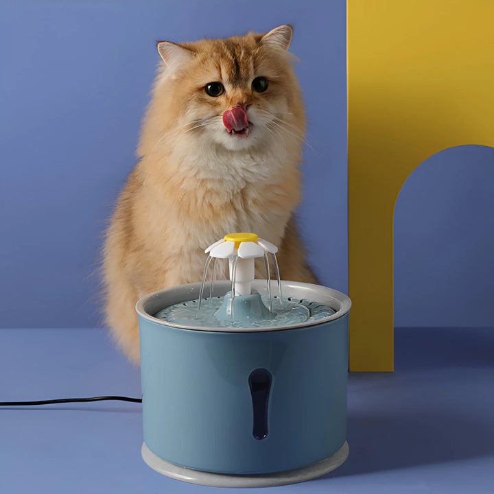 2.4L Cat Water Fountain with LED Light and USB Charging