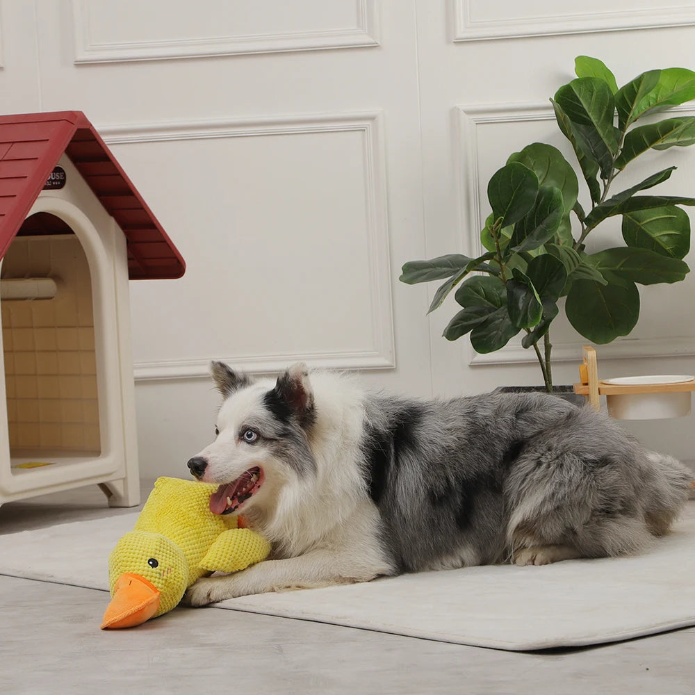 Interactive Duck Dog Toy with Squeaker