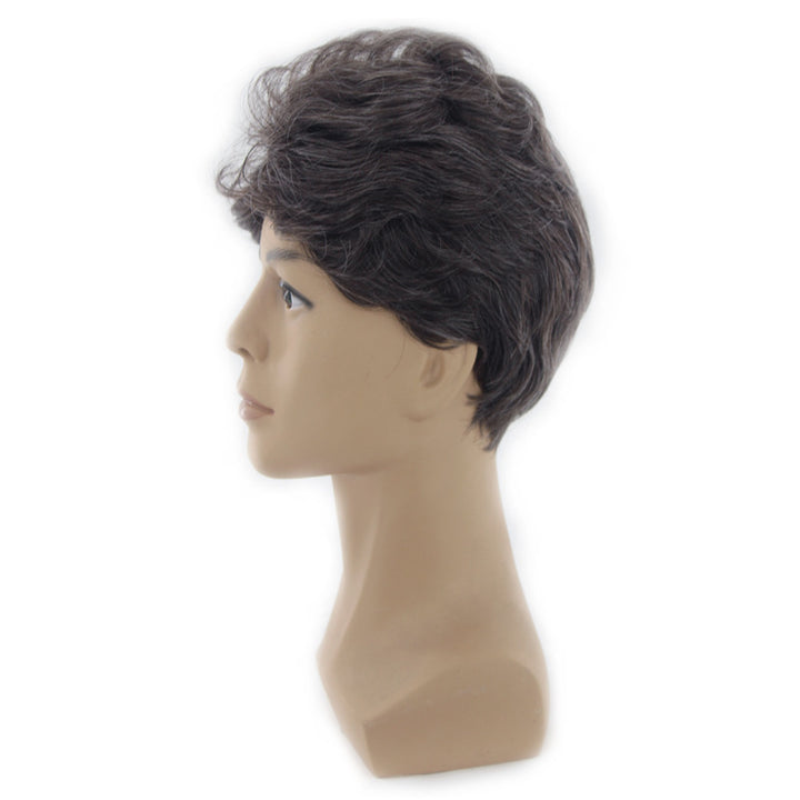 Fashion Men's Middle-aged Wig Fluffy Short Curly Hair