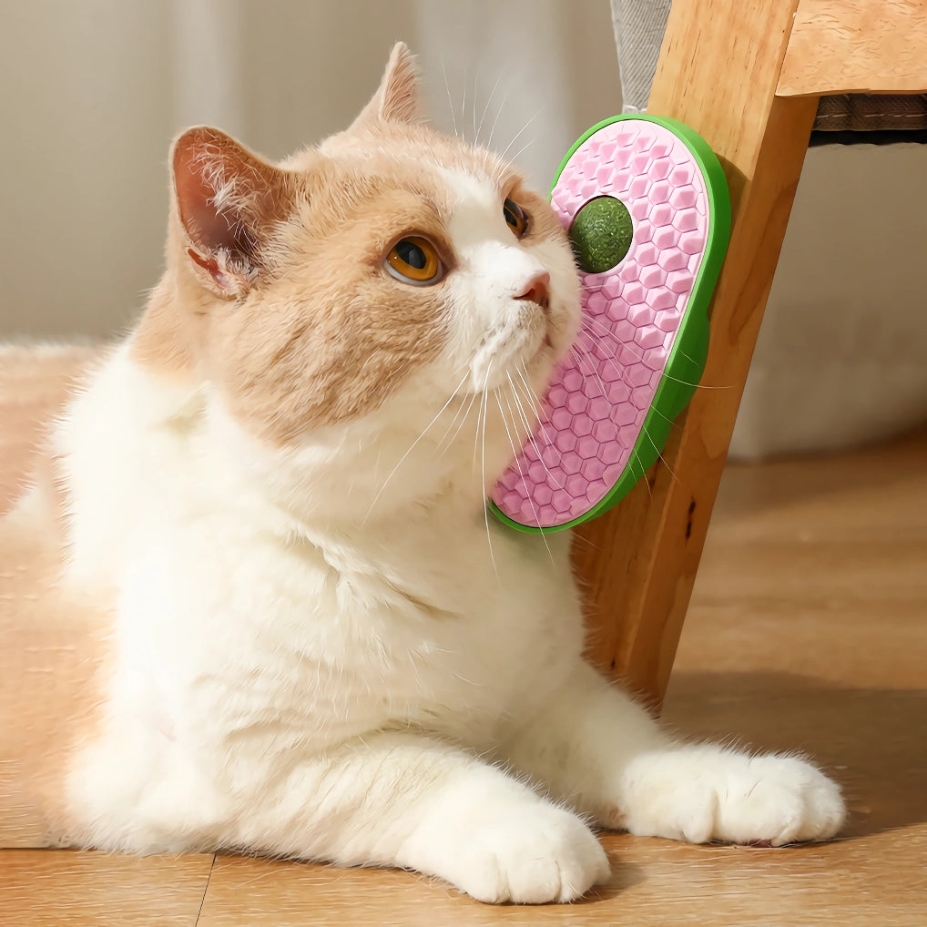 Funny Cat Grooming Brush with Catnip