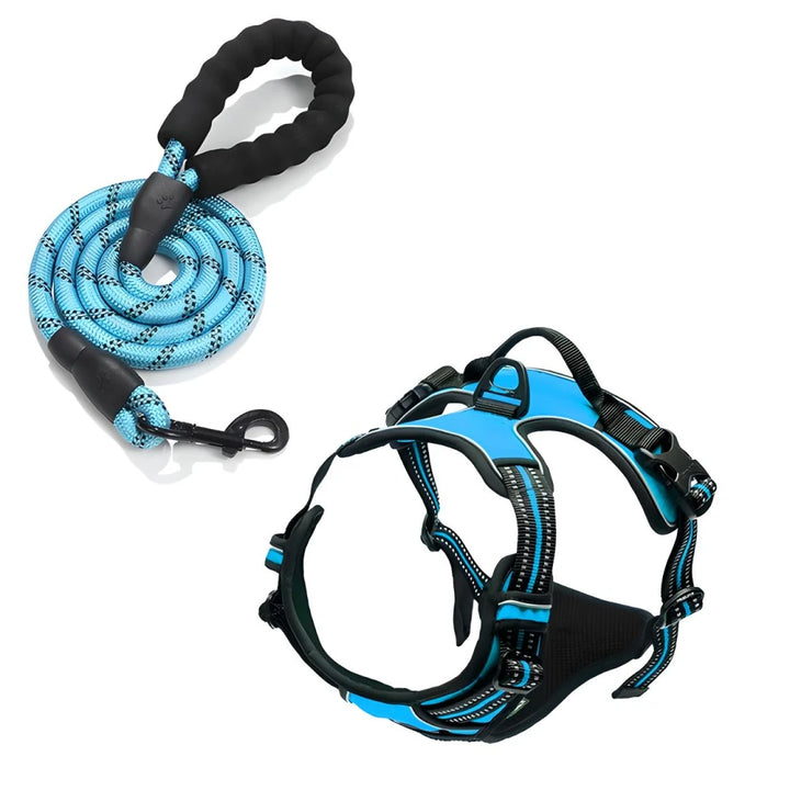 Reflective Adjustable Dog Harness and Leash Set