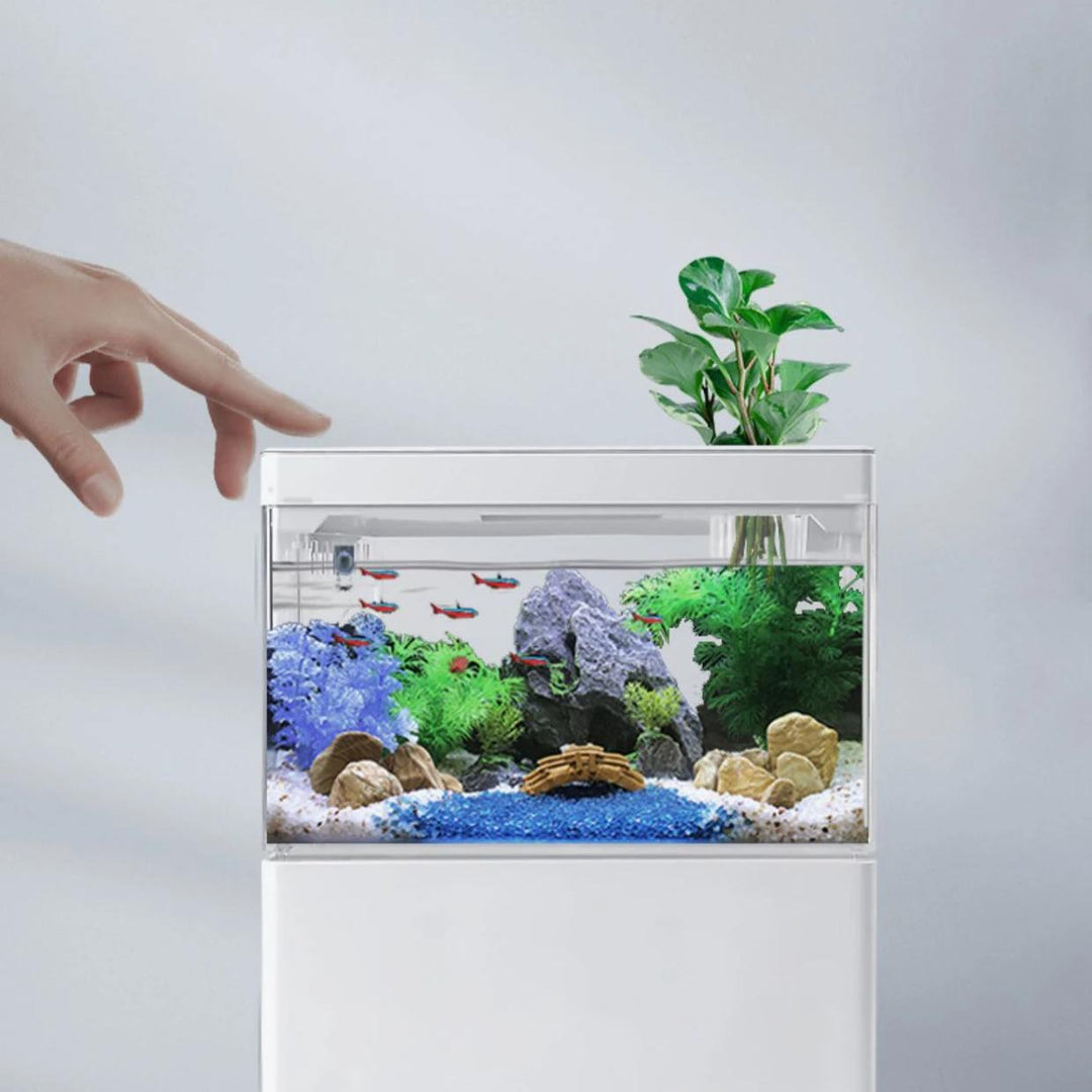 Compact Aquascape USB Fish Tank with Adjustable LED Lighting & Automatic Filtration