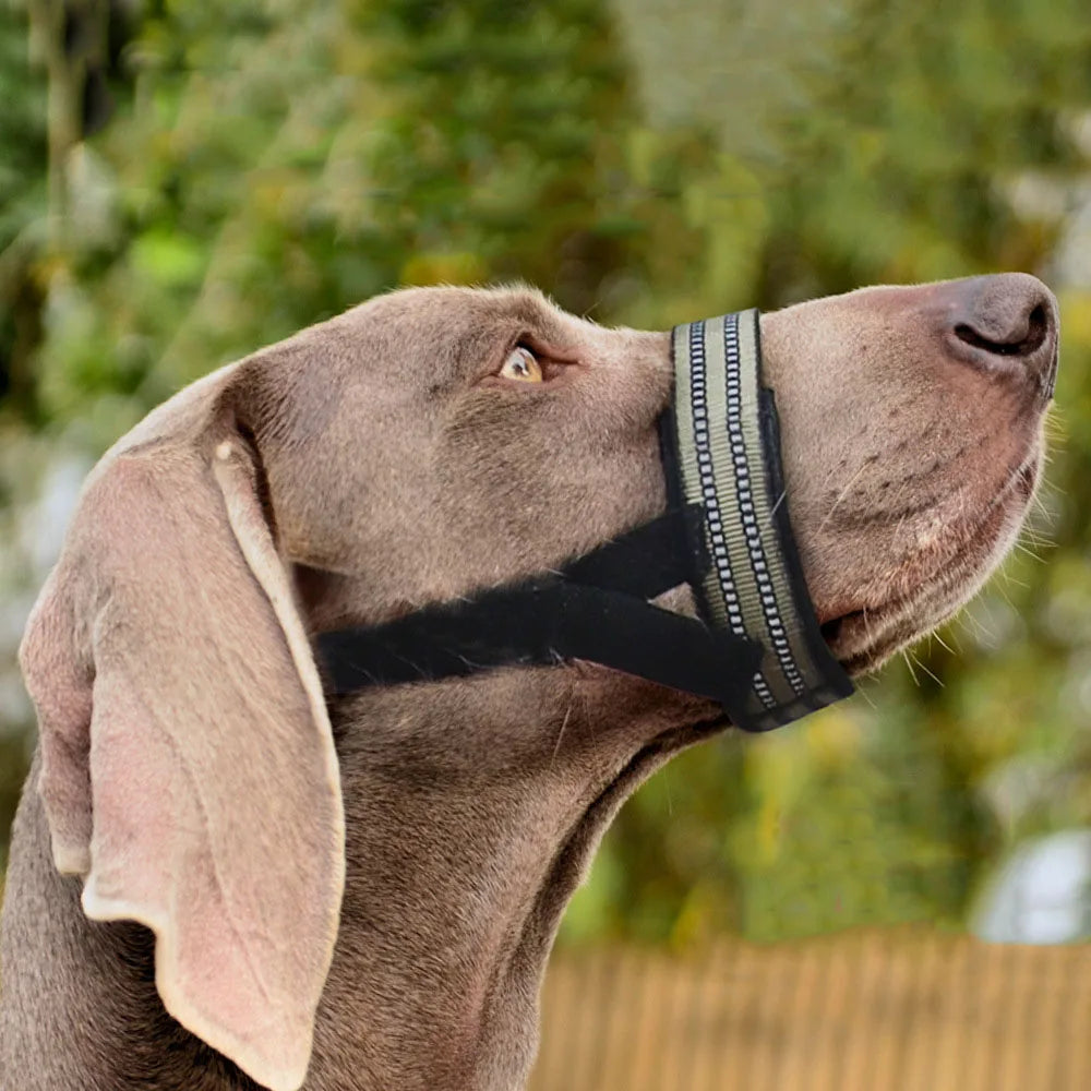 Reflective Nylon Dog Muzzle