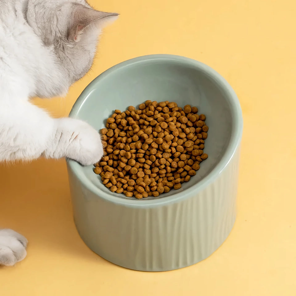 Elevated Ceramic Bevel Bowl for Cats and Dogs - Protects Cervical Spine