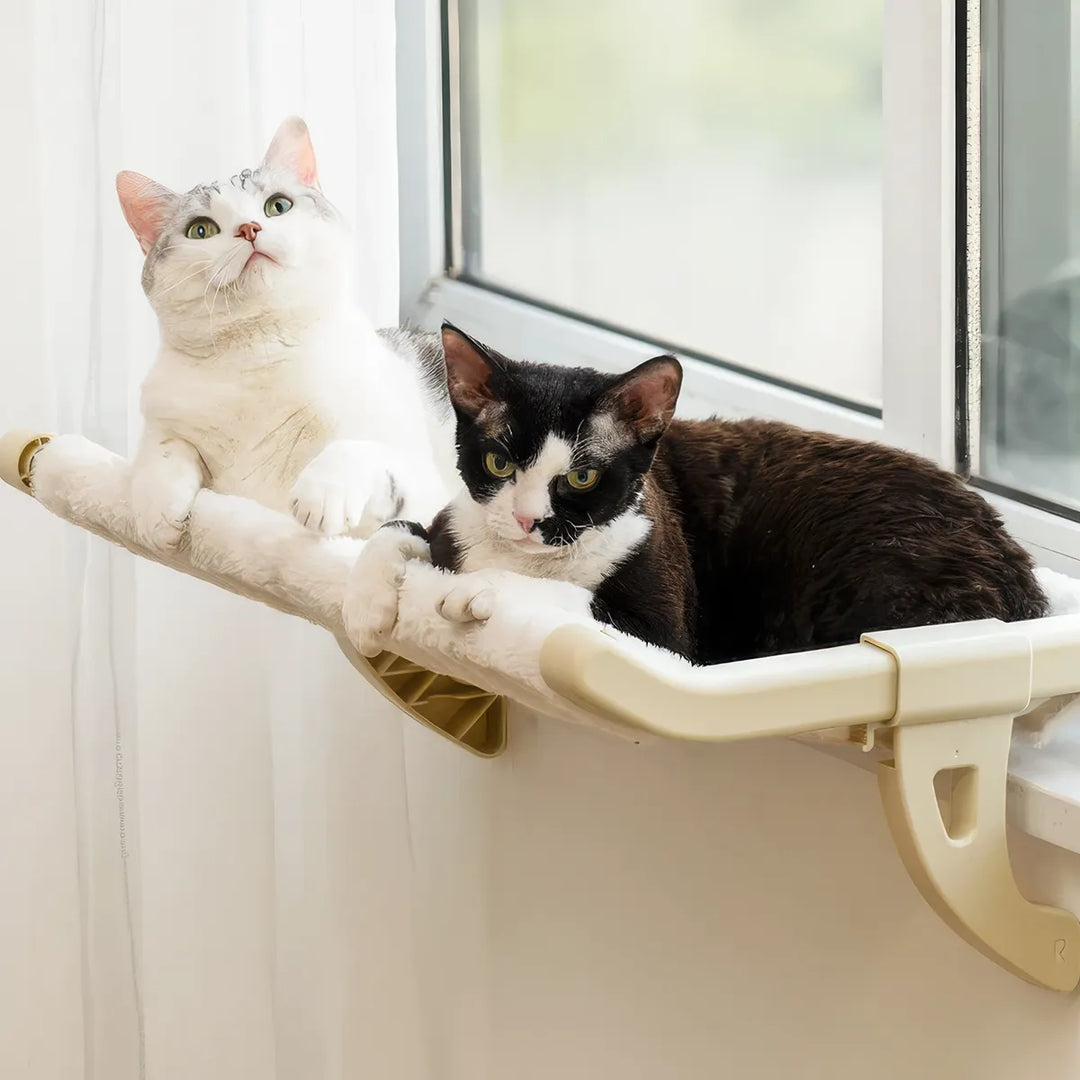 Cat Hammock Hanging Bed