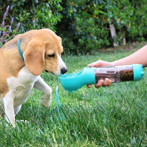 3-in-1 Portable Pet Hydration Station