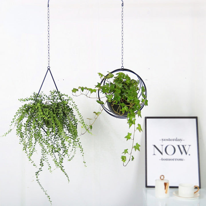 Decorative Iron Hanging Flower Pot - Swinging Wall Planter Basket for Home