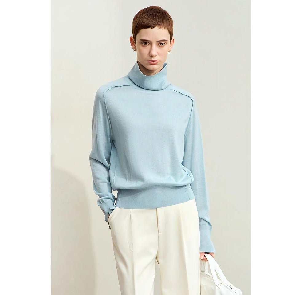 Minimalist Autumn Turtleneck Sweater