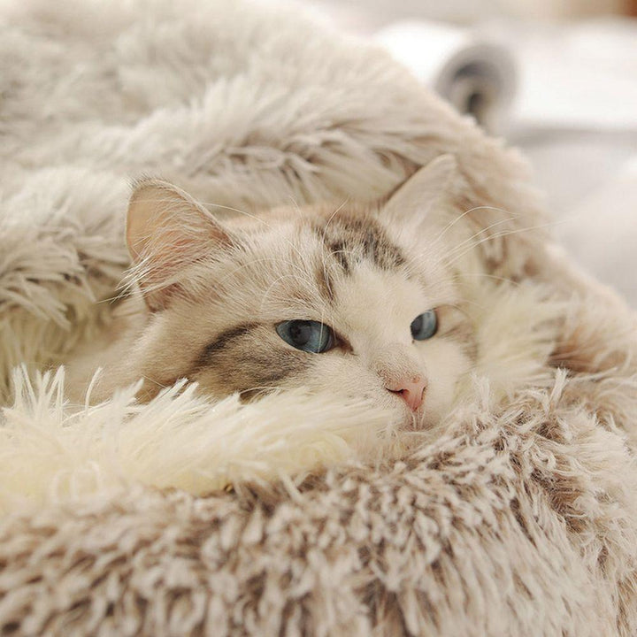 Warm Long Plush Cat Bed